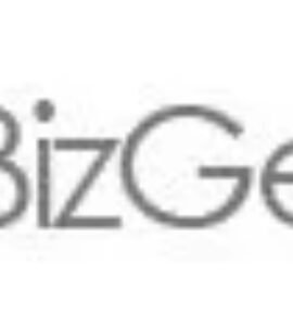 bizgenius-logo-grey