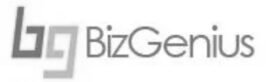 bizgenius-logo-grey