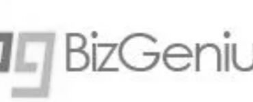 bizgenius-logo-grey