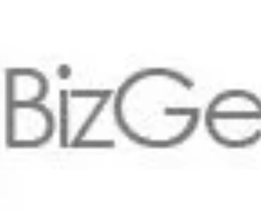 bizgenius-logo-grey