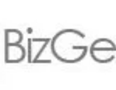 bizgenius-logo-grey