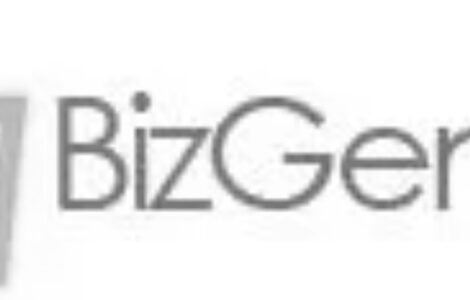 bizgenius-logo-grey